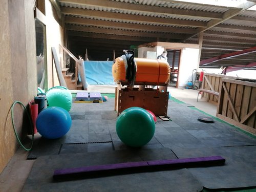 © Rantrumer Reitverein e.V.